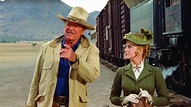 Ladrones de trenes (1973) Película - PLAY Cine