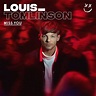 "Miss you", le nouveau single de Louis Tomlinson - Just Music
