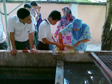 Ikan keli salai dengan harga yang sangat berpatutan 3. PPKI (BP) SMK JELUTONG: Projek Penternakan Ikan Keli ...