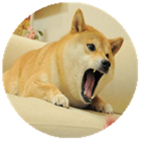 Pc computer roblox attack doge the models resource. donate for doge - Roblox
