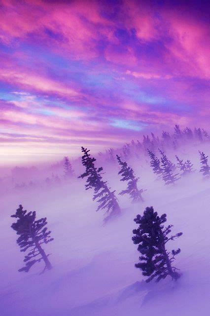 All Things Purple Beautiful Nature Winter Sunrise Nature Photography