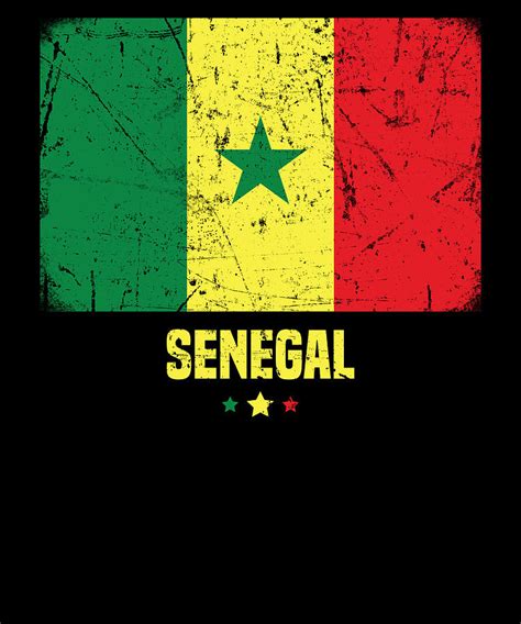 Senegal Flag Senegalese Digital Art By Michael S Fine Art America
