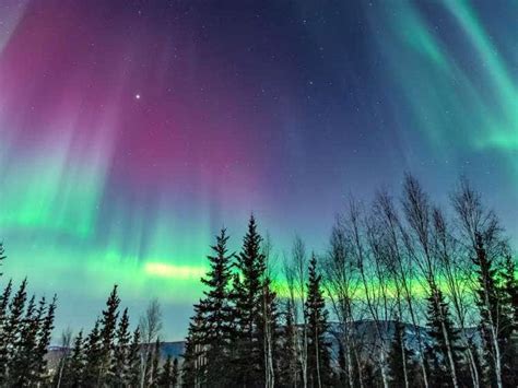 How To See The Northern Lights In Alaska Holland America Line