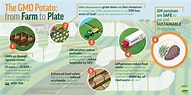 The benefits of GMO potatoes go beyond your plate. Not only do they ...