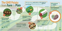 The benefits of GMO potatoes go beyond your plate. Not only do they ...