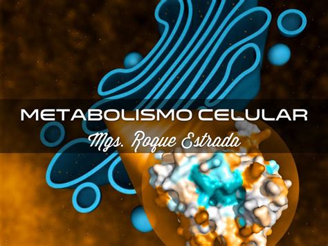 Metabolismo Celular By Estradanroque1972