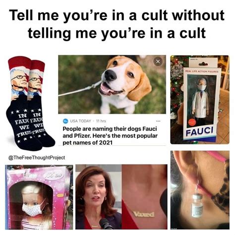 cult life meme by mr gimli memedroid