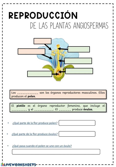 Reproducción Plantas Ficha Interactiva Ciencias De La Naturaleza
