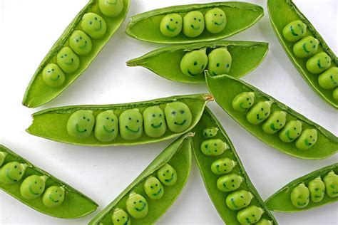 Like Two Peas In A Pod Pictures Images And Stock Photos Istock