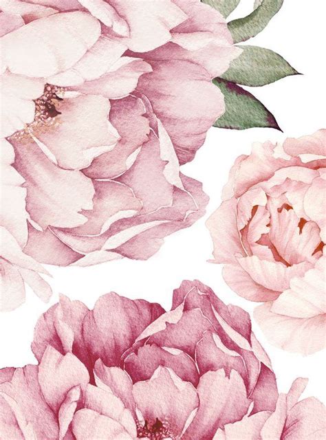 Peony Flowers Wall Sticker Mixed Pink Watercolor Peony Wall Etsy