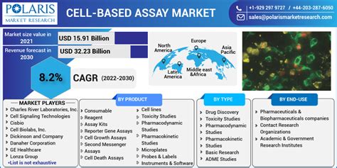 Cell Based Assay Market Set Explosive Growth And Competitive Analysis