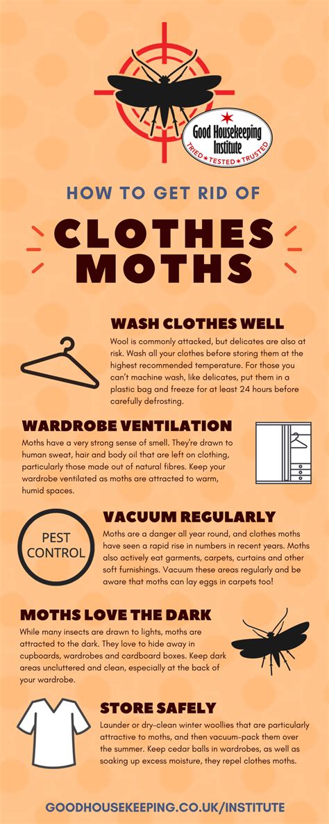 how to get rid of moths in your vegetable garden easy backyard