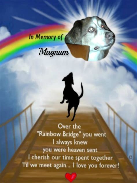 Rainbow Bridge Quotes For Horses Park Art
