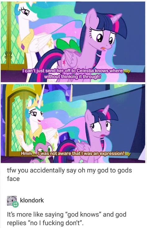Pin By Mikayla On Mlp Tumblr Funny Funny Memes Funny Pictures