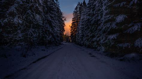 Download Wallpaper 2560x1440 Road Trees Snow Winter Dusk Dark