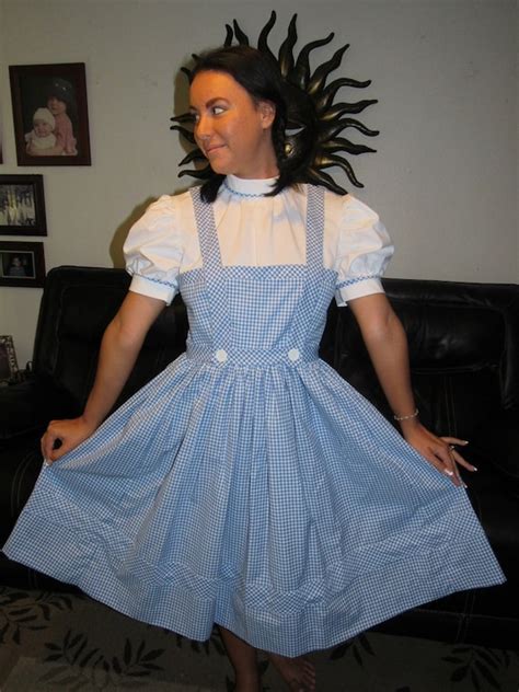 Wizard Of Oz Dorothy Dress Costume Cosplay Once Upon A Time Uk Ubicaciondepersonas Cdmx Gob Mx
