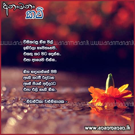 Sinhala Poem Wisikarapu Heena Mal By Nibandhika Wanninayaka Sinhala
