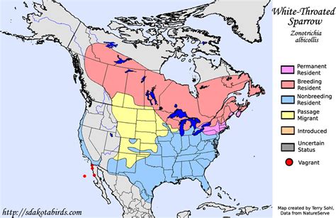 White Throated Sparrow Species Range Map