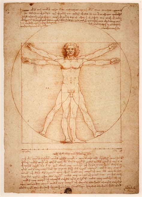 Astonishing Drawings And Paintings By Leonardo Da Vinci