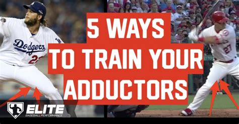 5 Ways To Strengthen Your Adductors Elite Baseball Performance