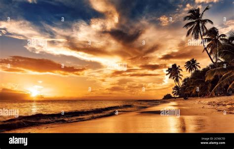 Beach Paradise Sunset Wallpaper
