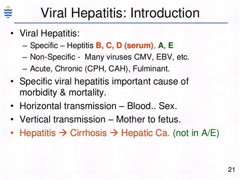 Ppt Pathology Of Hepatitis Lecture Powerpoint Presentation Free Download Id