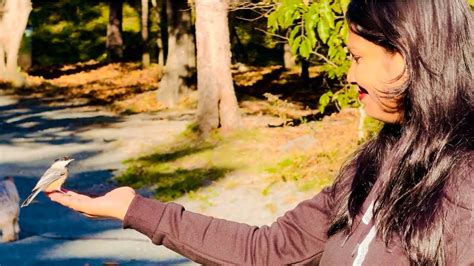 Exploring the Beauty of Point Pleasant Park: A Tranquil Escape in