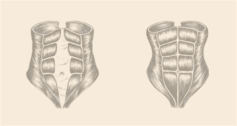 Diastasis Recti Surgery Considering A Tummy Tuck Read This First