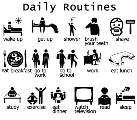 Vocabulary Daily Routines English Your Way