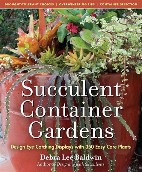 Bookvisions Succulent Container Gardens By Debra Lee Baldwin