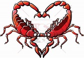 Couple of scorpions in love forming a heart | Angels blood, Love, Scorpion