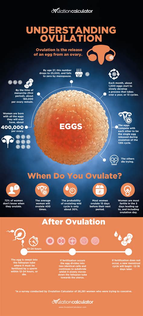 Review Of How To Naturally Release More Eggs During Ovulation References