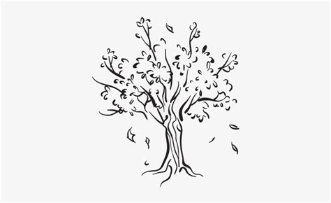 Willow Drawing Whimsical Tree Tree Leaves Falling Drawing Free