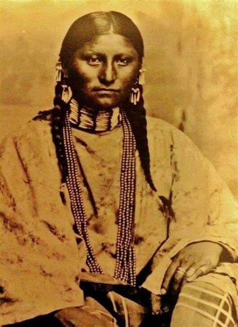 Pure Woman 1880 Northern Cheyenne Native American Pictures Native American Beauty