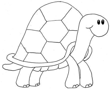 We did not find results for: Lovely Small Pets: The Shaped Used to Draw Turtles