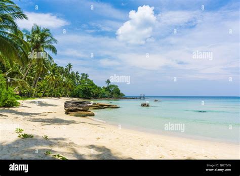 Relaxtion Scene Of Peaceful Beach With Coconut Palm Tree Blue Sky