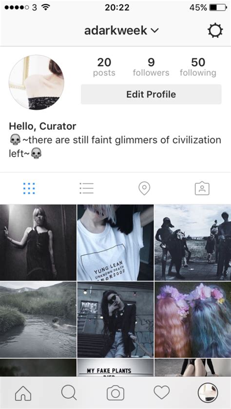 I Tried Different Instagram Aesthetics To See Which Got More Followers