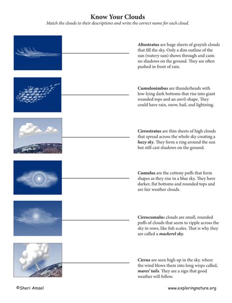 Each book highlights four types. Cloud Matching Activity (Color)