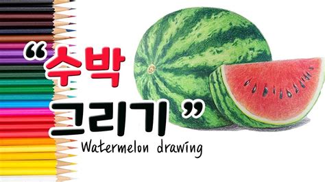 여름 대표 과일 수박 을 그리는 방법 ㅣ how to draw a watermelon step by step youtube