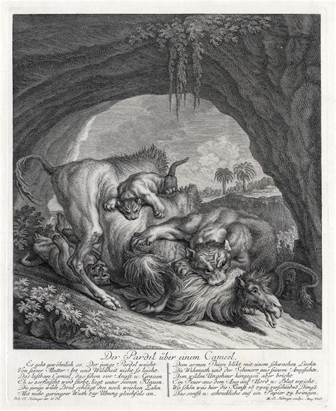 Johan elias ridinger (i.e.ridinger, i.el.ridinger, j.e.ridinger, j.el.ridinger či martin eliáš. Martin Elias Ridinger - Hunting scene with a leopard ...