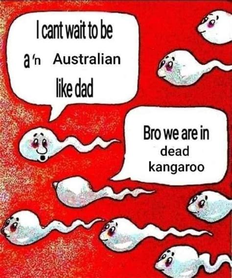 Bro We Are In A Dead Kangaroo Two Sperm Cells Talking Know Your Meme