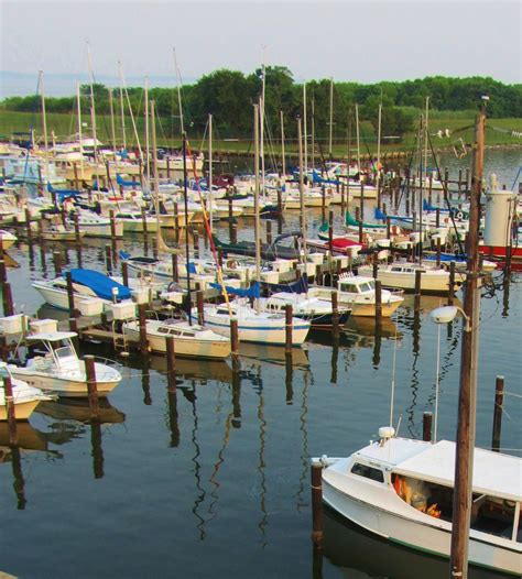 Havre de Grace in Pictures by Jeannie Allerton