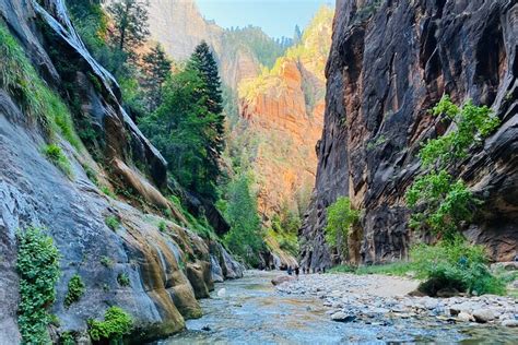 The Narrows Zion National Park Private Guided Hike Triphobo