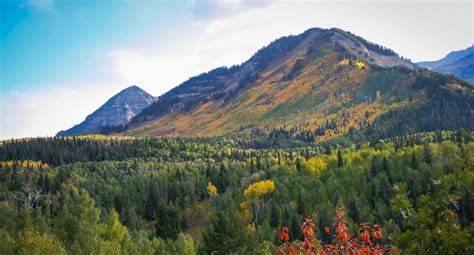 Alpine Loop Wasatch Mountains Fall Colors Michael Bradshaw