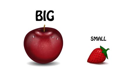 Fun Learning Big And Small Easy Comparison Big Small For Kids
