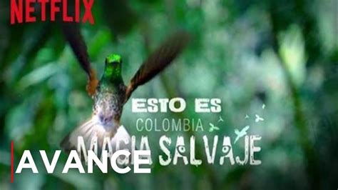 Colombia Magia Salvaje Avance Netflix Youtube