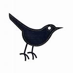 Jeans Social Logos Bird Icon Resolution Denim
