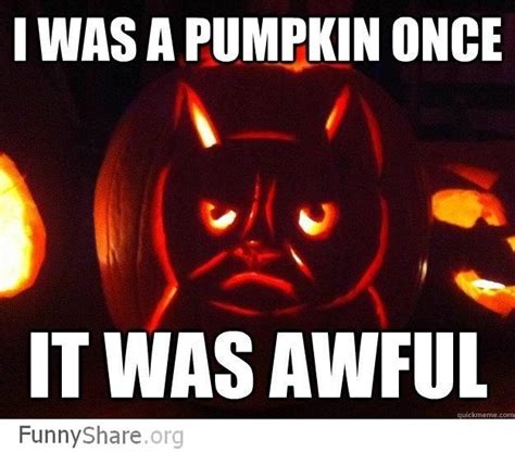 Grumpy Cat Pumpkin Meme Via Socialeyezer Funny Grumpy Cat Memes Cat