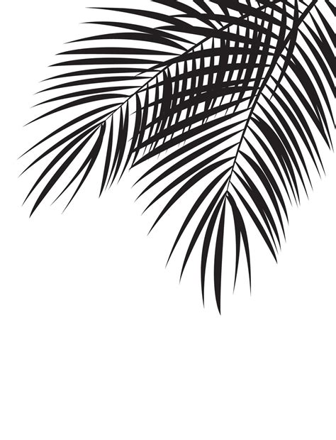 Palm Leaf Vector Background Illustration 4544422 Vector Art At Vecteezy