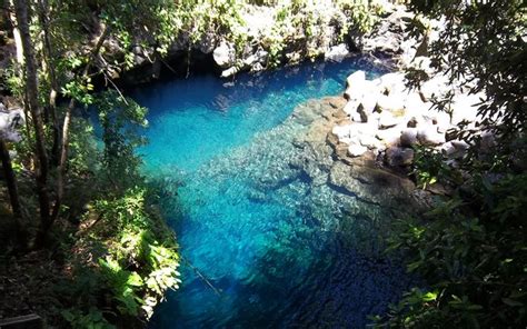 Descargar Naturaleza Bosque Lago Caburgua Chile Azul Fondos De